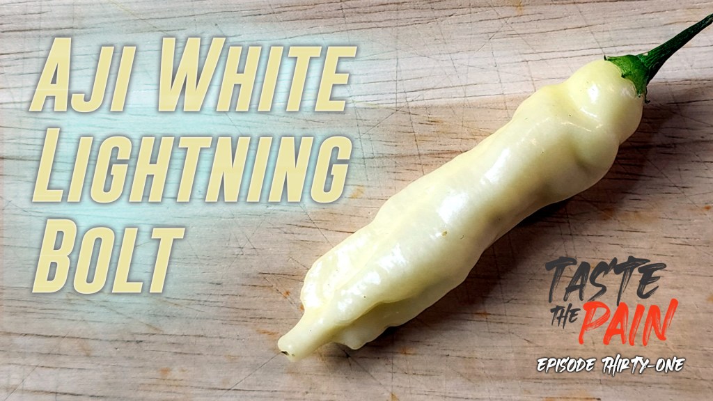 Aji White Lightning Pepper Review – Taste the Pain Ep.&nbsp;32