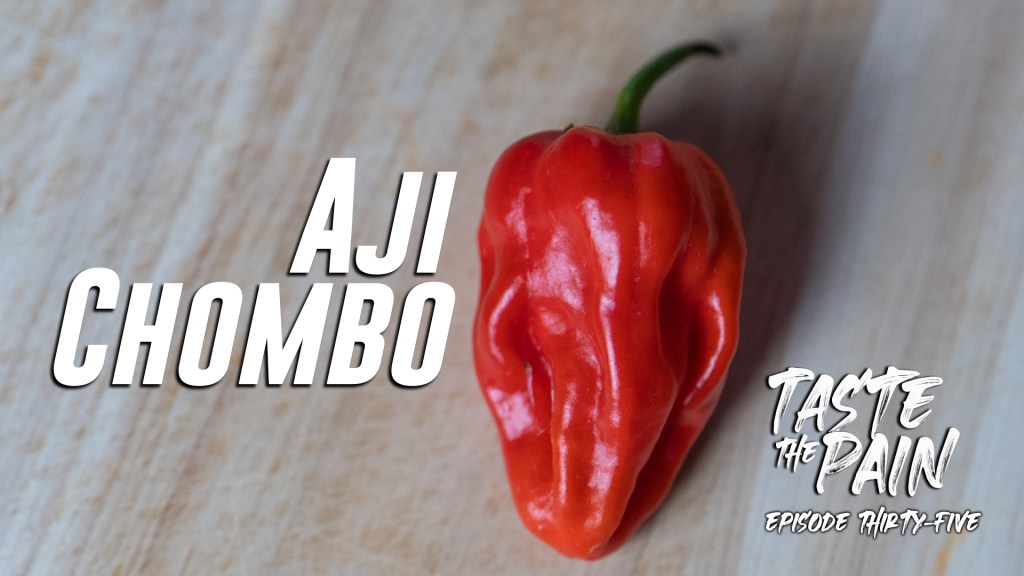 Aji Chombo Review – A Heater and an&nbsp;Eater!