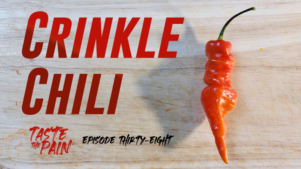 Crinkle Chili – Awesome&nbsp;Looking!