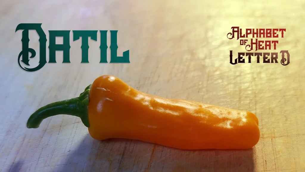 Datil Pepper – Florida’s&nbsp;Finest!