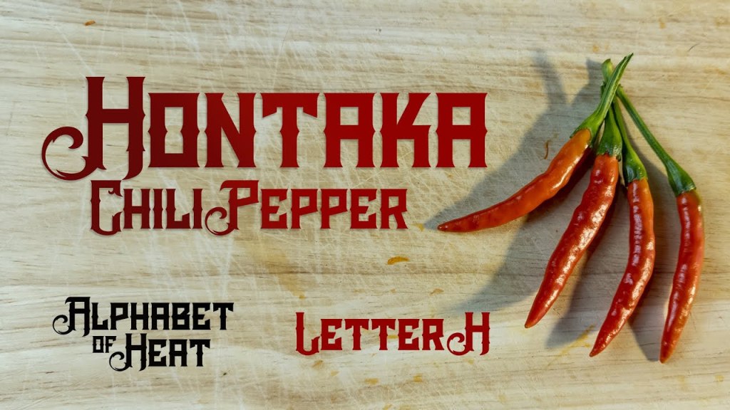 Hontaka Pepper