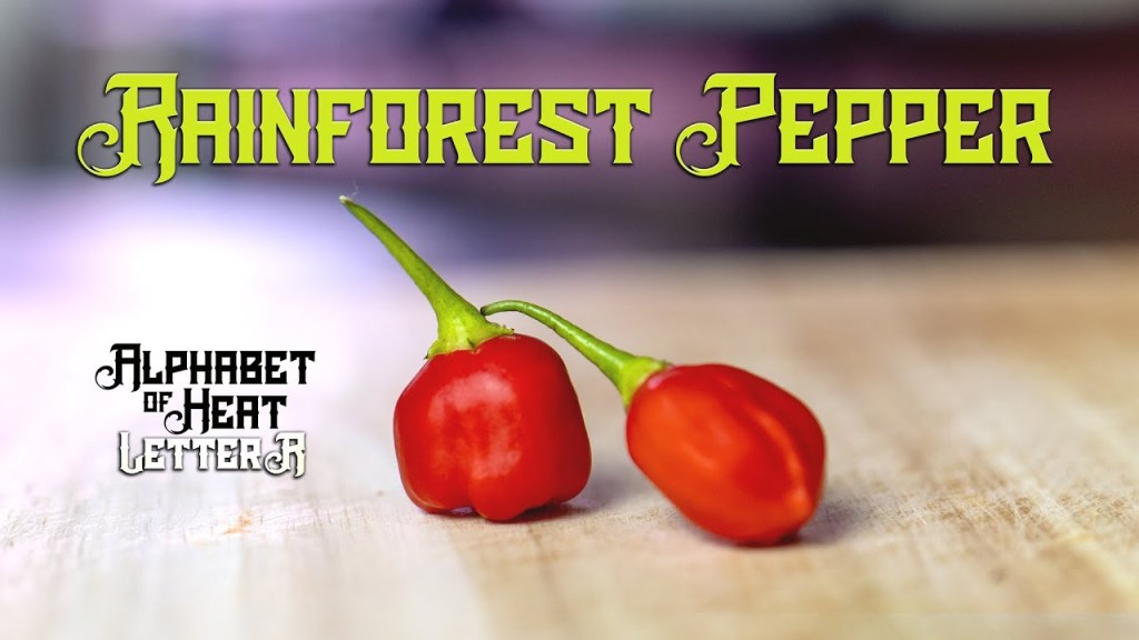 Rainforest Pepper