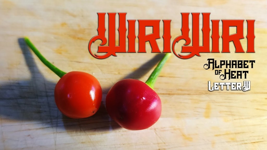 Wiri Wiri Pepper