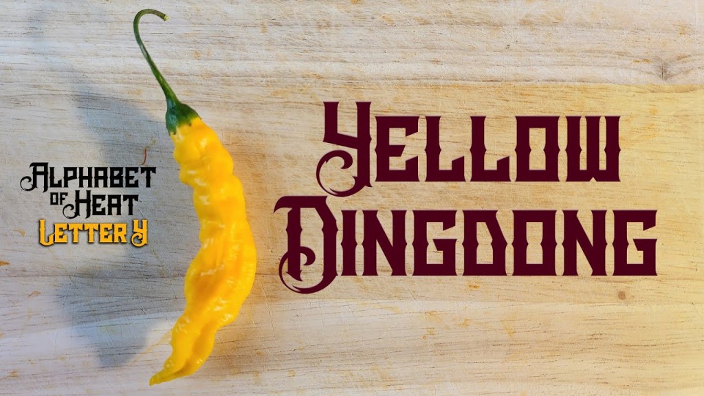 Yellow DingDong Pepper