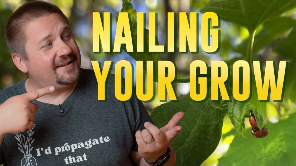 Nail Your Planting Time for a Bountiful Summer&nbsp;Garden