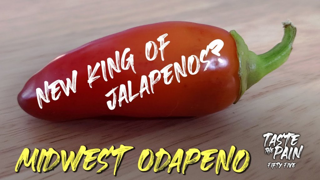 Why the Midwest Odapeno is the New King of&nbsp;Jalapeños
