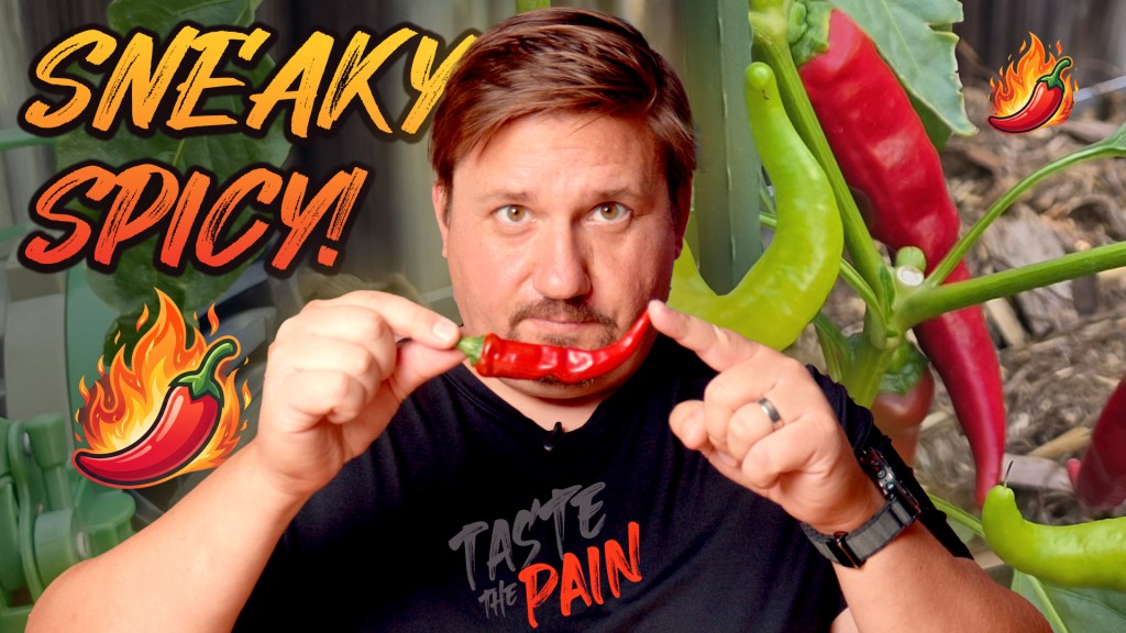 Nanner Jammer – Sneaky Spicy Banana&nbsp;Pepper