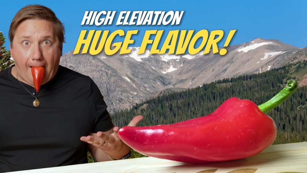 Mountain Roaster Pepper